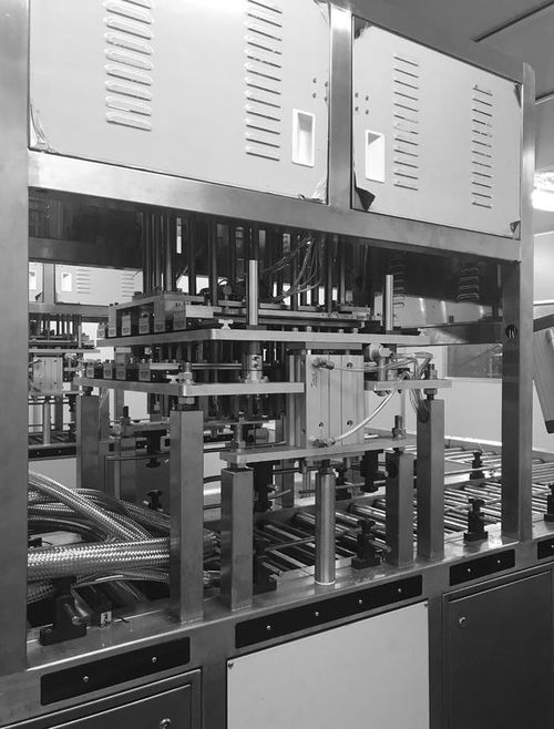 黑皮鸡枞菌工厂化生产关键技术解析